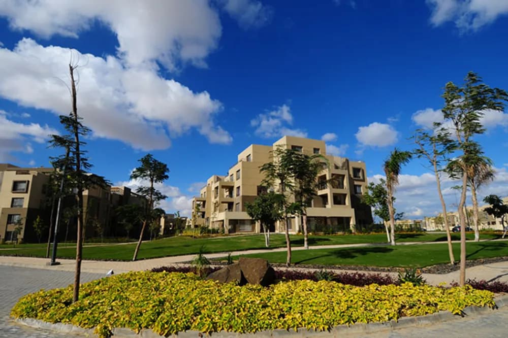 Palm Valley 3