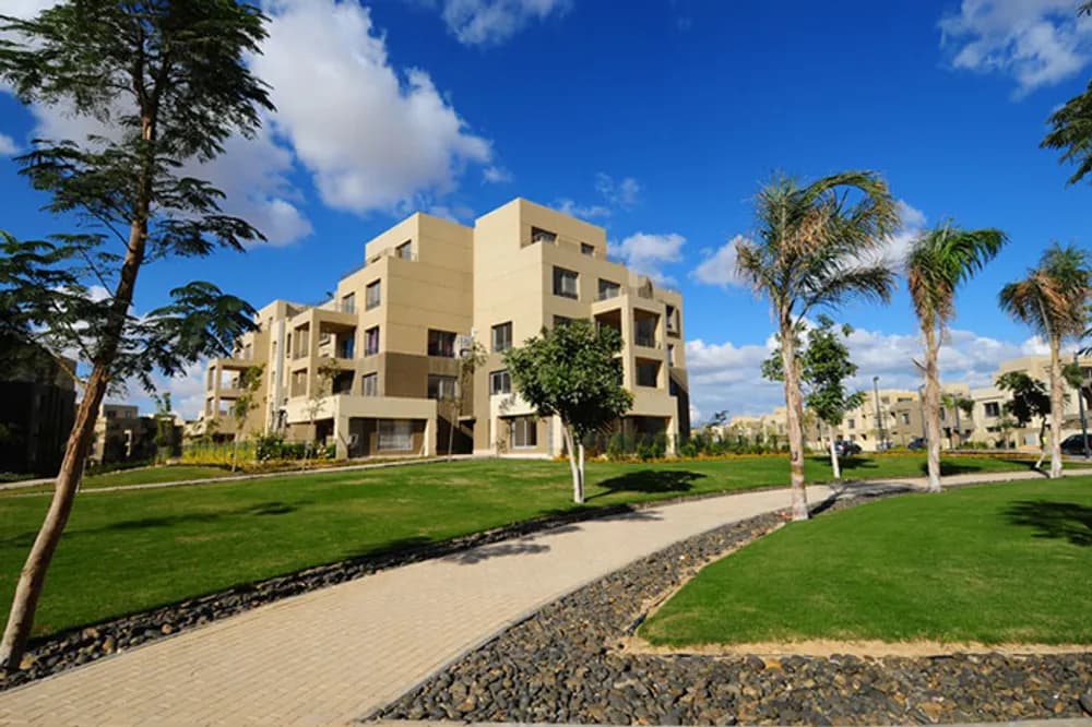 Palm Valley 4