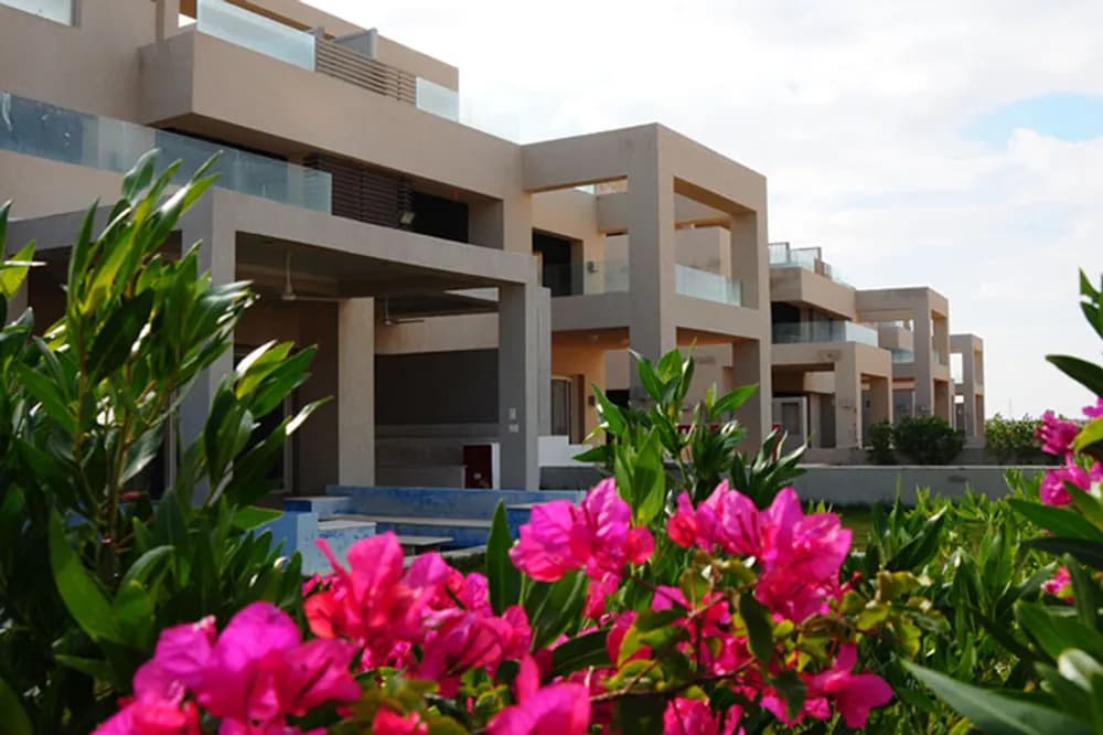 Amwaj 3