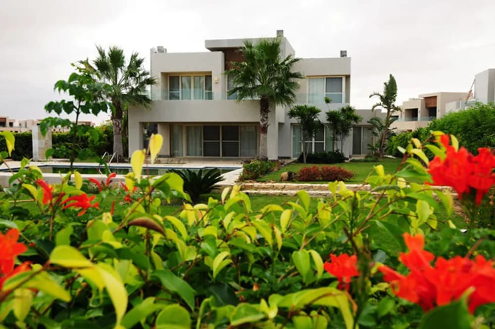 Amwaj 4