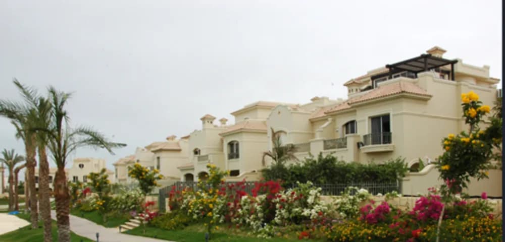 El Patio 1