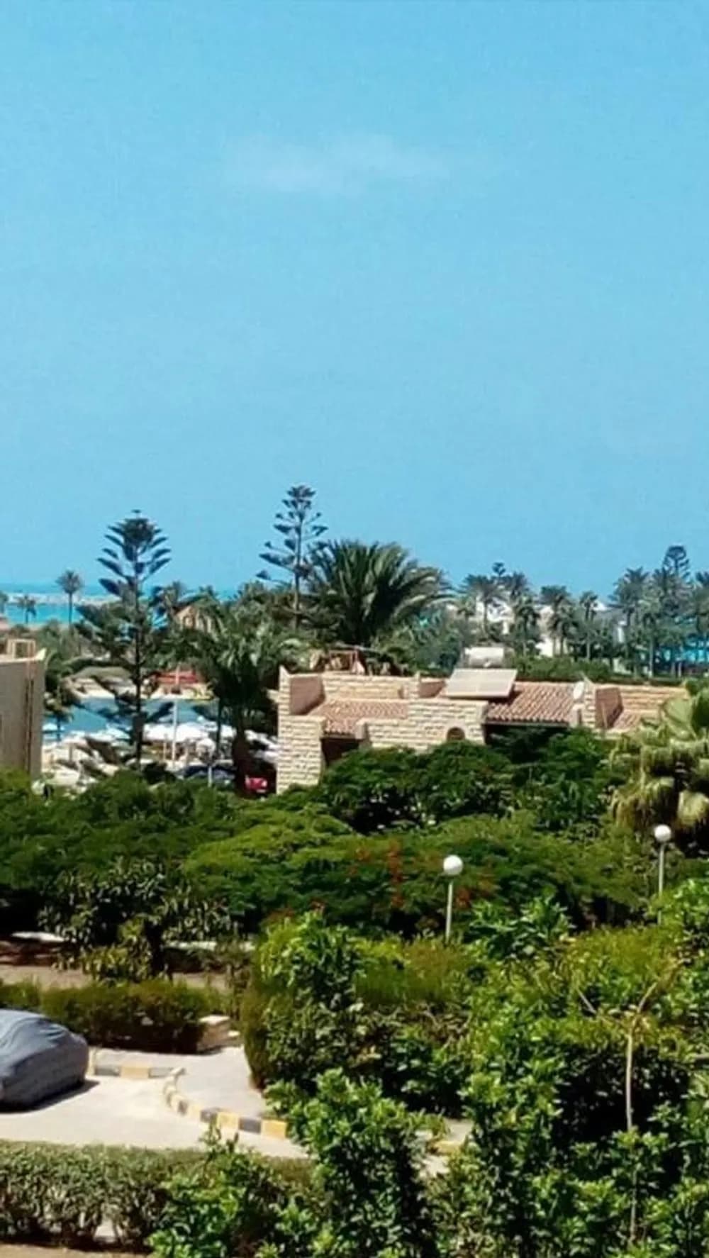 D-Bay