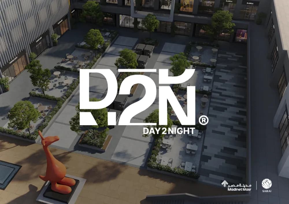 D2N - Sarai 1